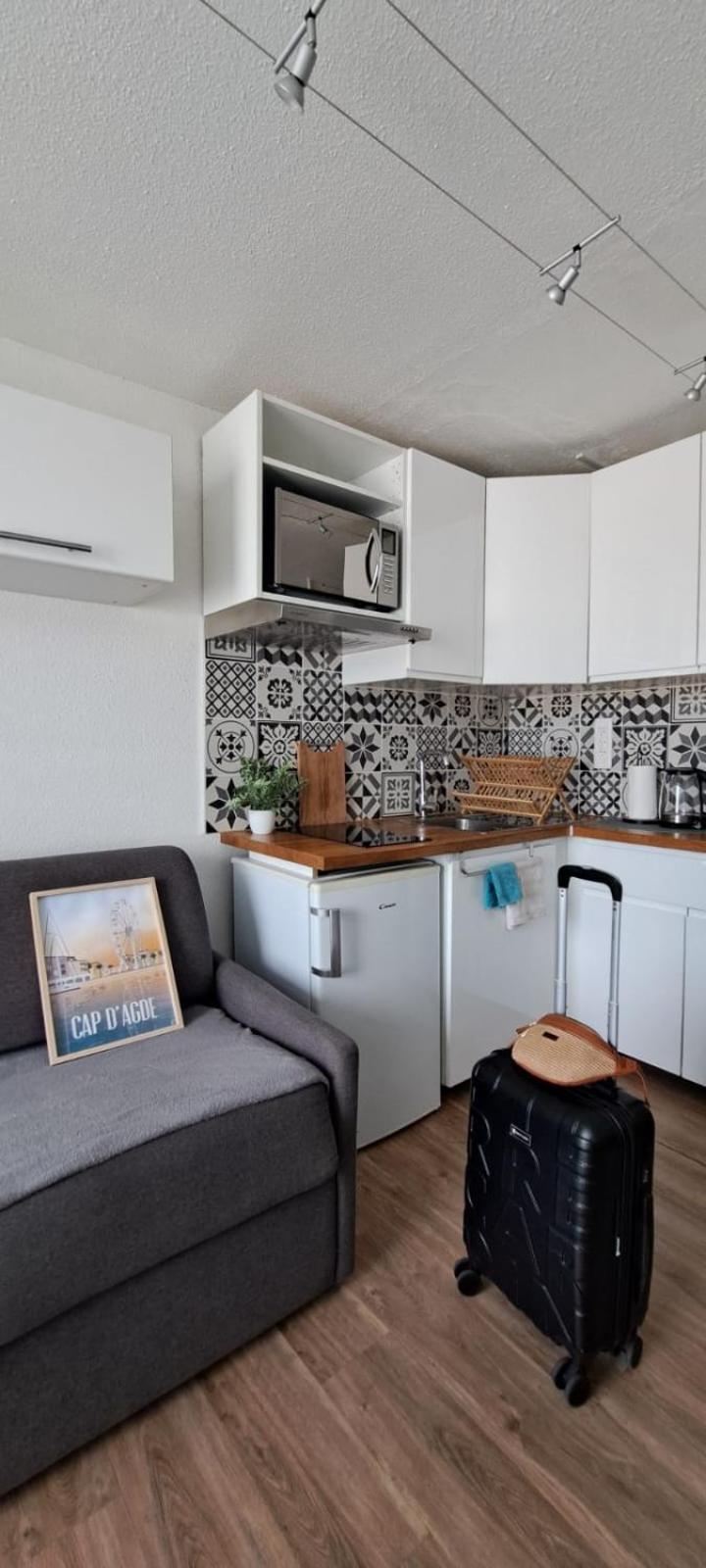 Superbe Avec Piscine, Ascenseur Et Acces Direct Sur Le Port * Agde